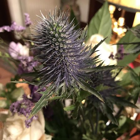 ウィナーズ Tudor Place Bed & Breakfast エクステリア 写真